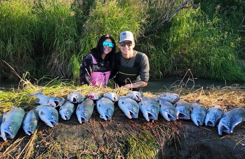 Soldotna House | Explore Kenai River: Family-Friendly Fishing Access Hotel