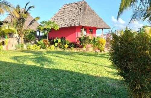 Kendwa Bed & Breakfast | Affordable Family Retreat at Kendwa Carletto Style Hotel