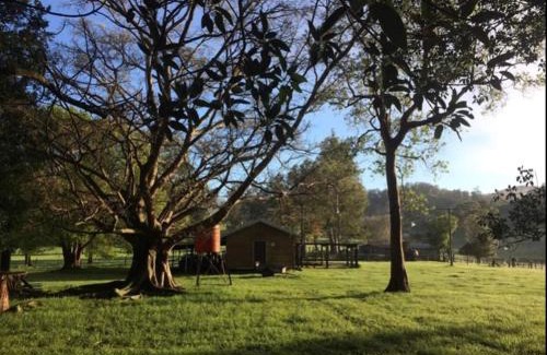 Coolabine House | Inviting Kenilworth Farmhouse: Family-Friendly Retreat