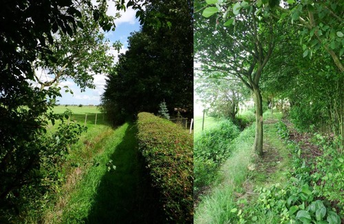 Tilney Fen End House | Pet-Friendly Kenilworth Garden Accommodation - Rated 9/10