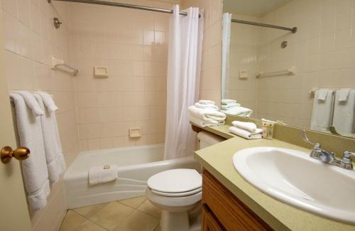 Aurora Resort | Discover Kenlake State Resort Park: Pet-Friendly Getaway