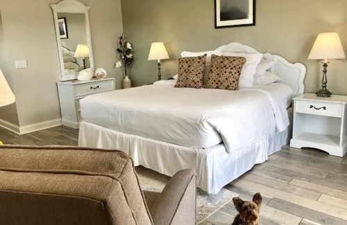 Culloden Shores Hotel | Discover Kenny's Tipperary Inn: Pool, Spa & Family Fun!
