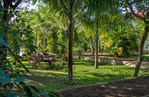 Krong Kaeb House | Pet-Friendly Kep Bungalows with Pool & Breakfast Included