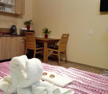 Gyula Apartment | Unforgettable Stay at Kerékvár Apartman in Gyula