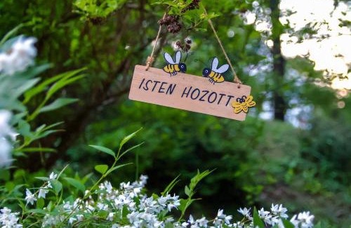 Koszeg Apartment | Discover Keresztkúti Erdei Pihenőhely: Guest Rated 9.1