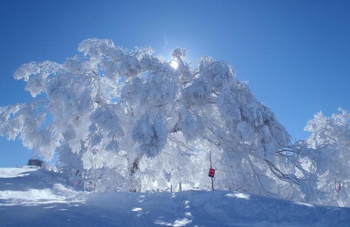 Nozawaonsen Apartment | Discover Keshiki House: Child-Friendly Comfort Awaits