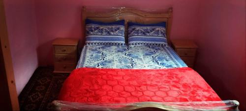 Issaguen Apartment | Explore Ketama Morocco: Family & Pet-Friendly Escape