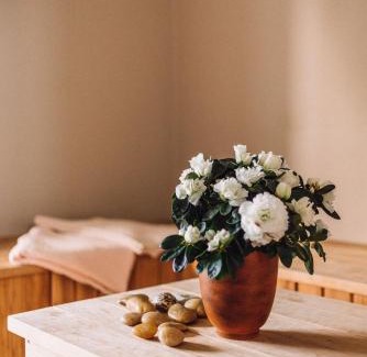 Kuressaare House | Kevade Guesthouse with Sauna - 4-Star Family Retreat