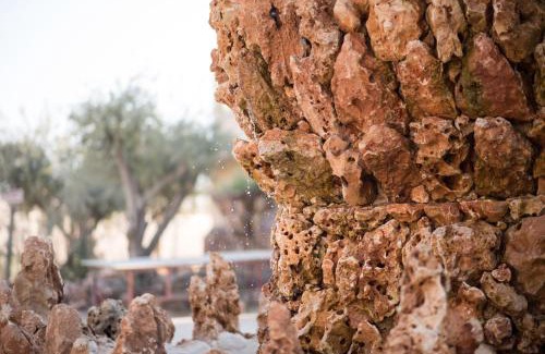 Mahane Zofar Other | Explore Kfar Hanokdim: Glamping & Camping Experience