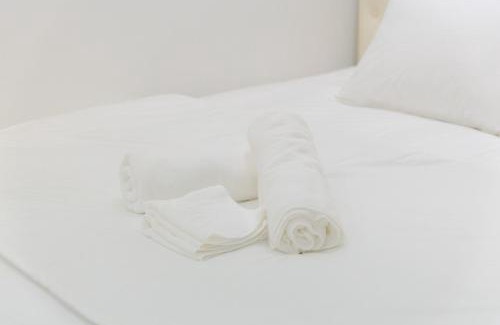 Lam Ha Hotel | Discover Pet-Friendly Comfort at Khách Sạn Vinci