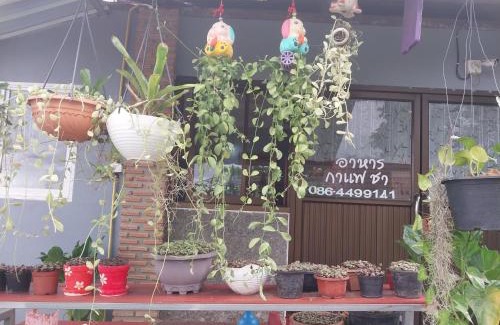 K. Phu Pieng House | Discover Family-Friendly Comfort at Khai Mook Homestay