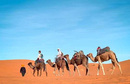 Taouz Bed & Breakfast | Desert Retreat: Khamlia Luxury Camp with Spa & Breakfast