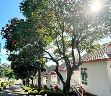 Thung Samo Resort | Enjoy Your Stay at Khao Kho Wanwarn with Pool Access