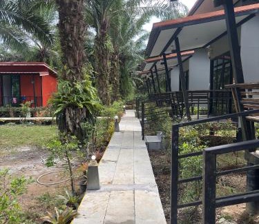 Khlong Sok Resort | Family-Friendly Khao Sok Residence Resort Awaits You