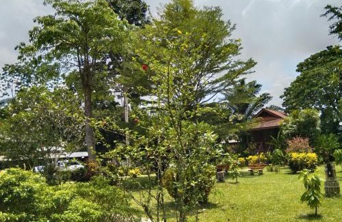 Khlong Sok Hotel | Serene Khao Sok River & Jungle Resort with Family Amenities
