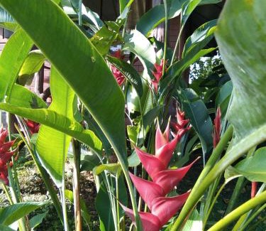 Khlong Sok Hotel | Serene Khao Sok River & Jungle Resort with Family Amenities