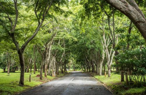 Nong Nam Daeng House | Discover Khao Yai Log House: Family-Friendly 4-Star Retreat