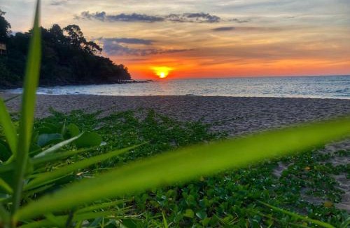 Khao Lak Resort | Relax at Khaolak Palm Beach Resort with Pool & Ocean View
