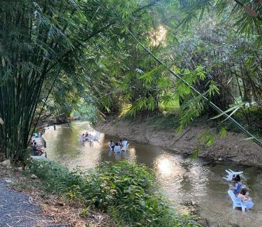 Thai Mueang Other | Pet-Friendly Khao Lak Camping with 8.7/10 Review Score