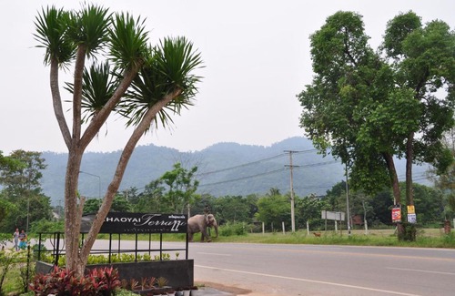 Mu Si Hotel | Discover Khaoyai Terrazzo: Family-Friendly Retreat