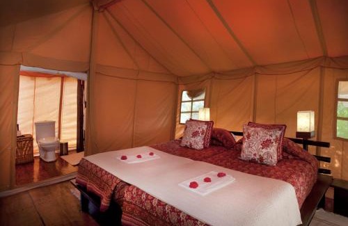 Jamool Khera Resort | Rediscover Relaxation at Khem Villas: Rated 9.3/10