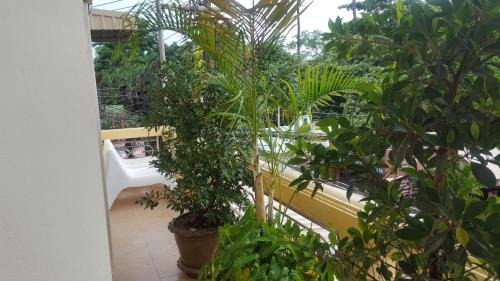 Koh Tao Hotel | Relaxing Oceanfront Stay at Khun Ying House - Guest Rated 8.1