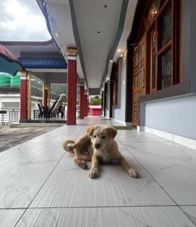 Dugalbitta House | Khushi homestay