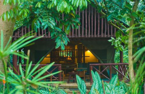 Kibale Cabin | Discover Kibale Forest Camp: Family-Friendly Retreat