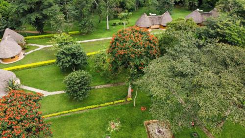 Kibale Hotel | Unforgettable Stay at Kibale Guest Cottages with Pool