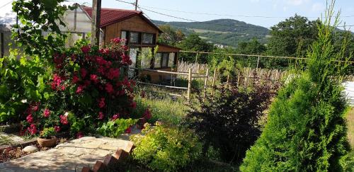 Tbilisi Ski Chalet | Discover Kikety Paradise: Oceanfront Bliss for Families