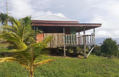 Calibishie House | Explore Kiki's Nature Cabin with Oceanfront Views