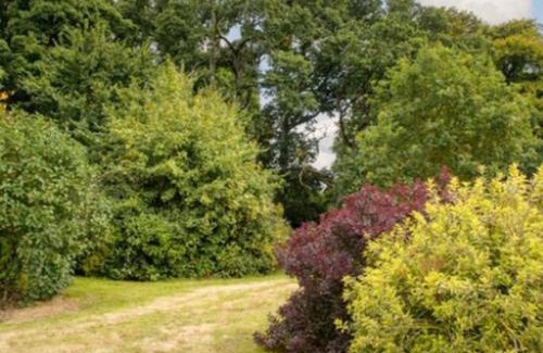 Killenard Apartment | Cozy Killenard Kottage - Top-Rated Stay in Laois