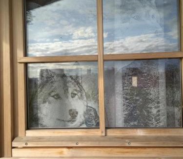 Jarva County Other | Experience Kilplaste Küla Campgrounds: Pet-Friendly Retreat