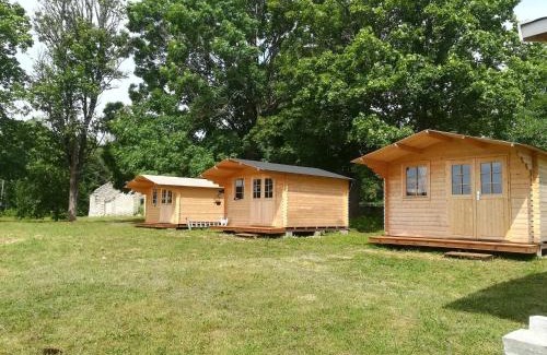 Jarva County Other | Experience Kilplaste Küla Campgrounds: Pet-Friendly Retreat
