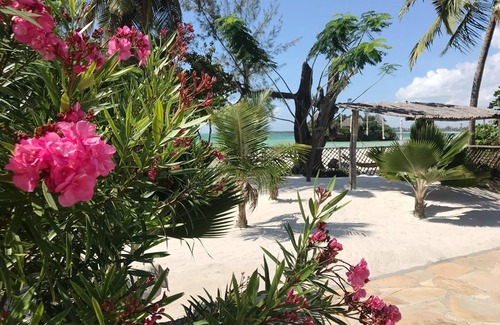 Pongwe Apartment | Beachfront Bliss at Kimurimuri: Pool & Ocean Views Await