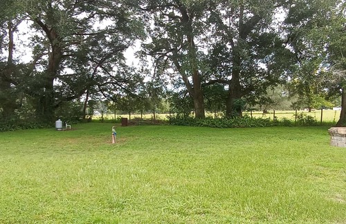 Fellowship House | Pet-Friendly Retreat with King Beds Near Silver Springs