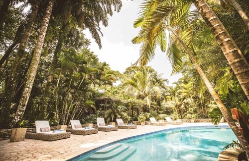 Forest Home Apartment | King Jungle Suite with Nature Views and Premium Amenities