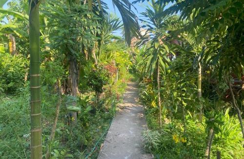 Don Det House | Enjoy Ocean Views at King Kong Restaurant and Bungalows