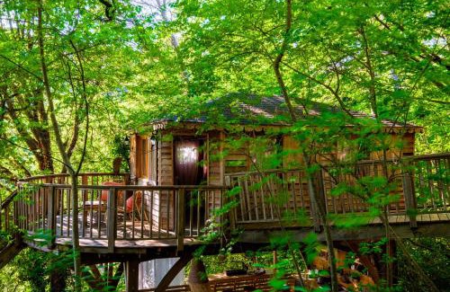 Saint-Paul-de-Vence Ski Chalet | Experience King Louie and Mowgli: Pet-Friendly Bliss