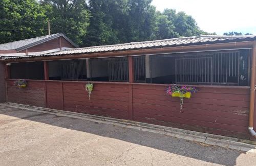 Zutendaal Apartment | Family-Friendly King of Gold Stables with Horse Amenities