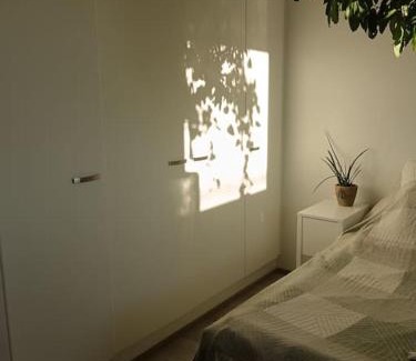 Lantinen District Apartment | King's Oak Jungle
