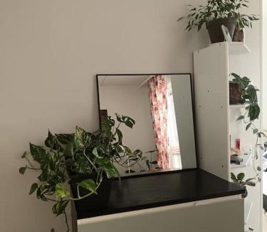 Lantinen District Apartment | King's Oak Jungle
