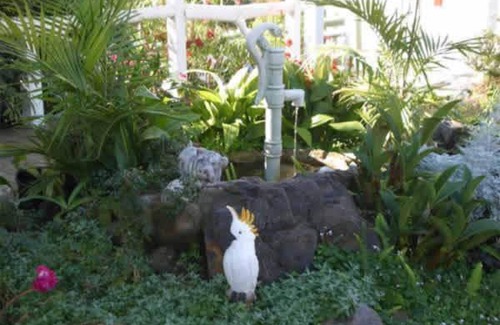 Merimbula Hotel | Adults Only Kingfisher Motel: Poolside Paradise Awaits