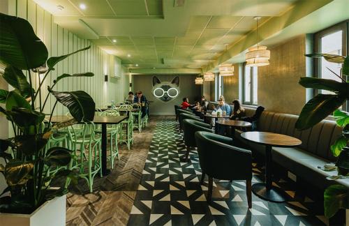 Galway City Centre Hostel | Comfortable Kinlay Hostel Near Eyre Square with Breakfast