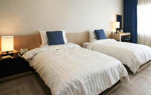 Gyeongju Hotel | Kinock Pet Hotel: A 4-Star Retreat for You and Your Pets
