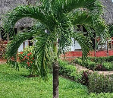 Galu Hotel | Kinondo Poa Beach Resort