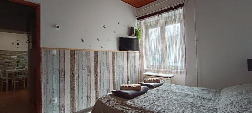 Tapolca Apartment | Family-Friendly Stay at Kis Kuckó - Guest Rated 9/10