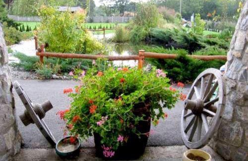 Debrecen House | Pet Friendly Kisfecske Vendégház with Pool & Family Amenities