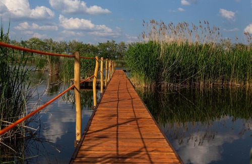 Nagyrev Apartment | Family-Friendly Stay at KisházadVendégház Awaits You