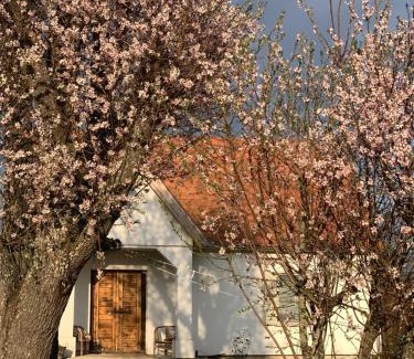 Mencshely Apartment | Top-Rated Kiskacsa Nyúlontúl: Pet-Friendly & Family Enjoyment